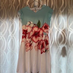 Ted Baker Floral Dress-3